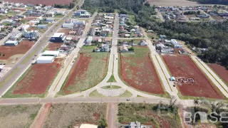 Terreno, foto 6