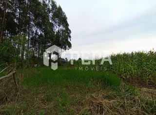 Terreno, foto 2