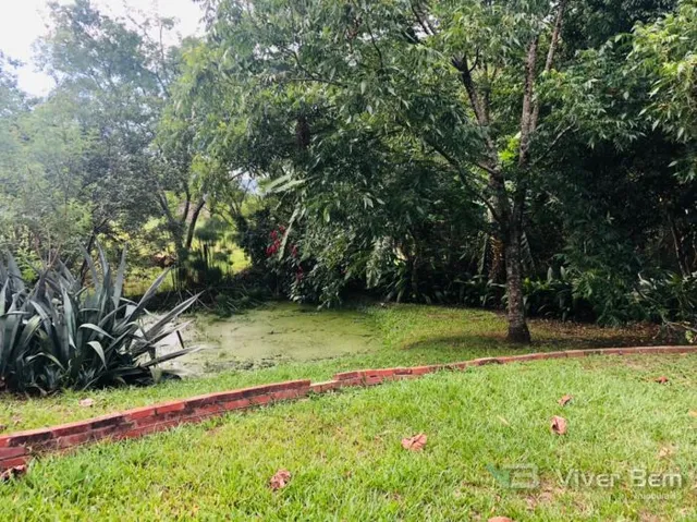 Área rural com 5 dormitórios, foto 4