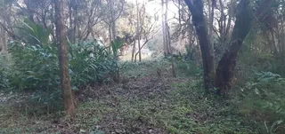 Área rural, foto 9