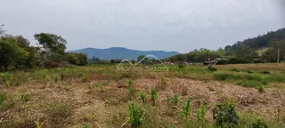 Paisagem de campo seco com vegetação rasteira no fundo sob um céu nublado.