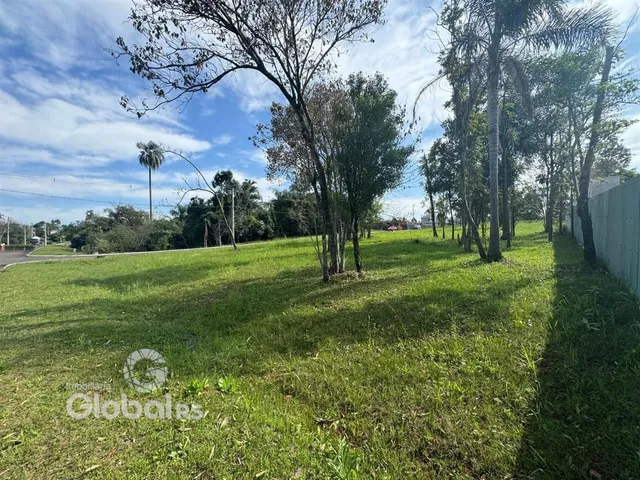 Campo gramado com árvores e céu azul na propriedade.