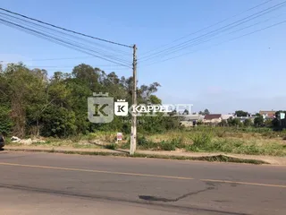 Vista externa de uma rua com vegetação e um poste de luz.