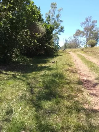 Área rural com 2 dormitórios, foto 8