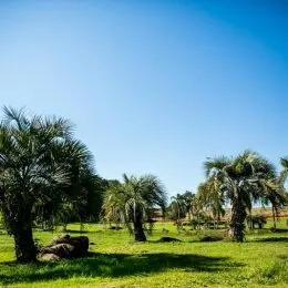 Terreno, foto 10
