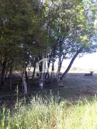 Área rural, foto 14