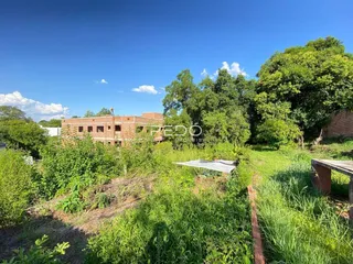 Vista externa de uma propriedade com vegetação densa e um edifício de tijolos ao fundo.