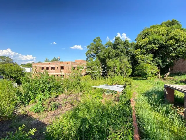 Terreno, foto 4