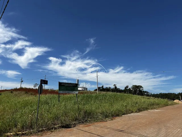 Vista da paisagem com vegetação e sinalização em uma estrada rural.