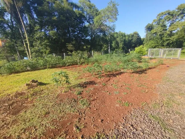 Terreno