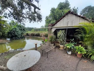 Área rural com 4 dormitórios, foto 15