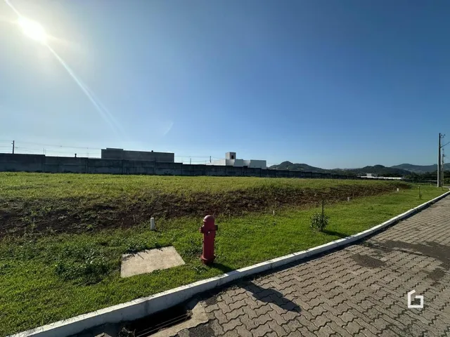 Terreno, foto 3