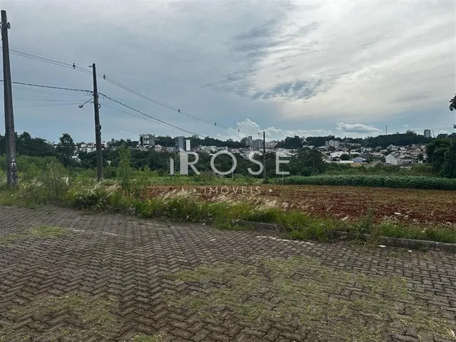 Terreno, foto 5