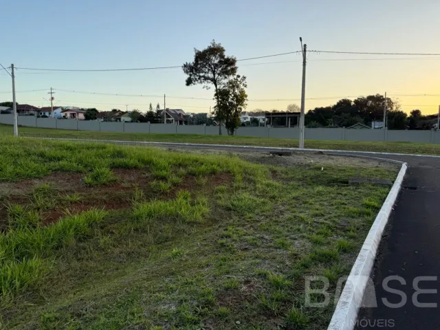 Terreno, foto 5