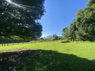 Paisagem de um campo gramado com cerca de madeira e árvores ao fundo.