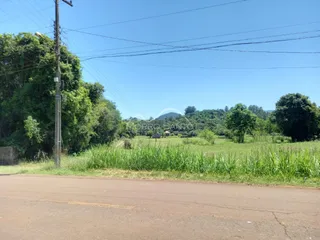 Vista de uma paisagem rural com campo de grama alta ao lado de uma estrada.