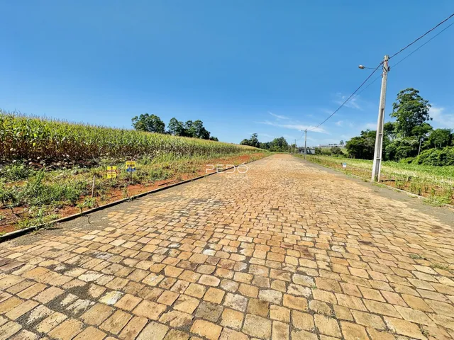 Uma estrada pavimentada se estende por um campo de vegetação ao longo de uma paisagem rural.