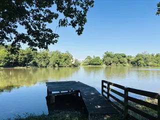 Área rural com 4 dormitórios, foto 9