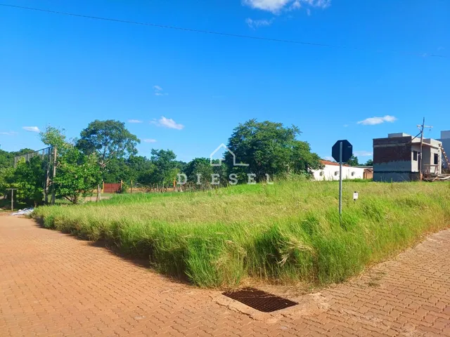Terreno