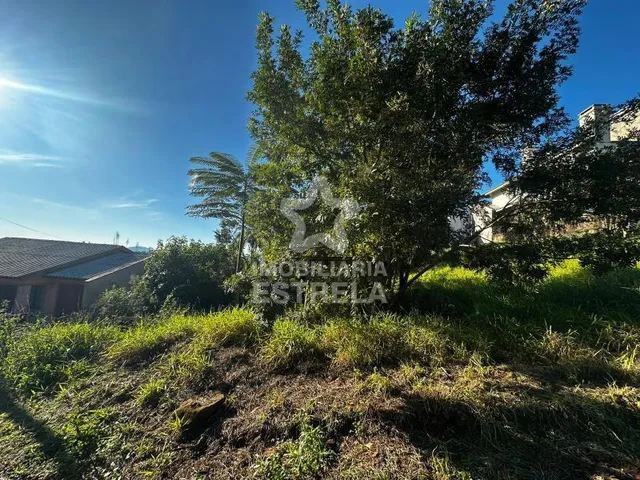 Terreno, foto 2
