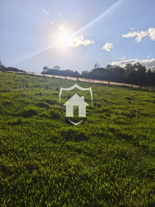 Área rural com 4 dormitórios, foto 6