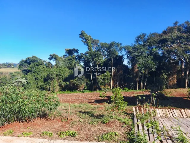Terreno, foto 2