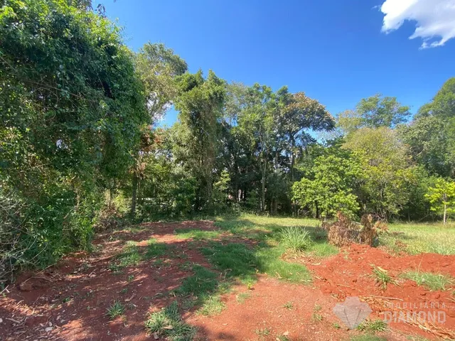 Terreno, foto 2
