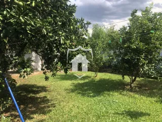 Casa com 3 dormitórios, foto 12