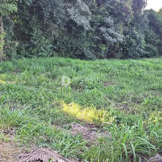 Terreno, foto 2