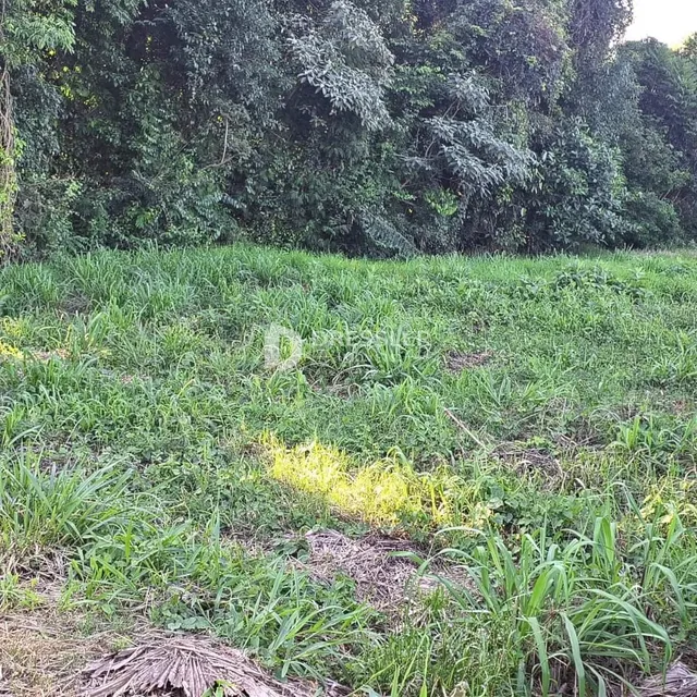 Terreno, foto 2