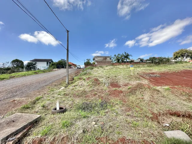 Paisagem de terra e vegetação ao longo de uma estrada rural.