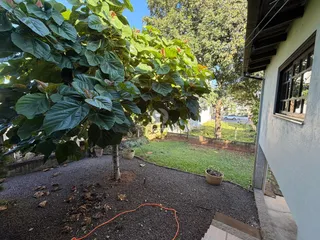 Casa com 3 dormitórios, foto 18