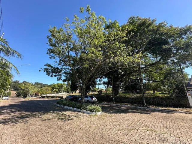 Terreno, foto 2