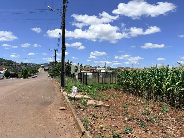 Terreno, foto 3