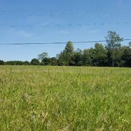 Área rural, foto 3