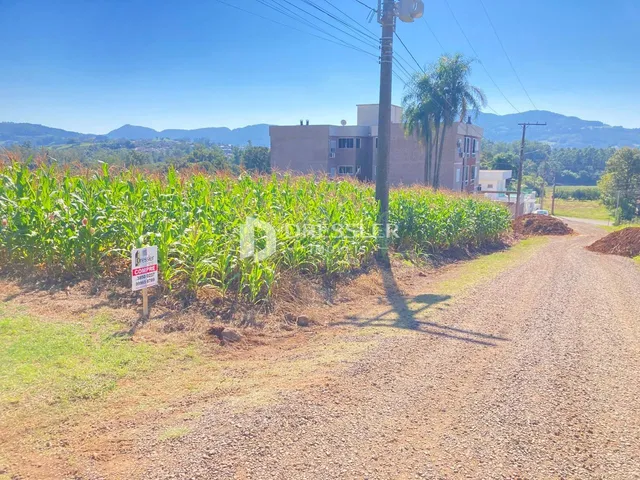 Terreno, foto 3