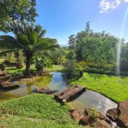 Paisagem externa mostrando uma área verde com água e vegetação exuberante.