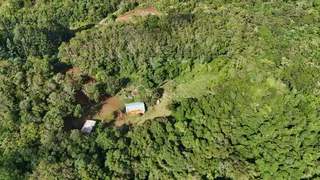 Vista aérea de uma propriedade rural cercada por vegetação densa na região de Lajeado.