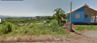 Vista externa de vegetação alta em uma área de terreno.