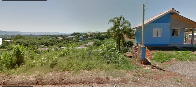 Vista externa de vegetação alta em uma área de terreno.