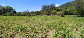 Área rural, foto 5
