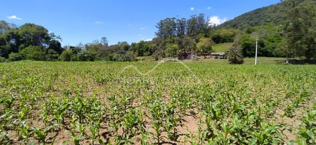 Área rural, foto 5