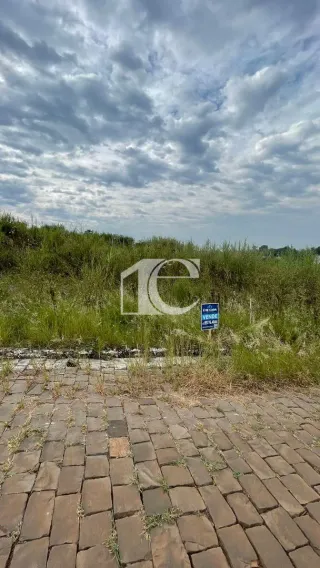 Terreno, foto 5