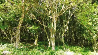 Imóvel, foto 4