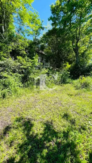 Terreno, foto 20