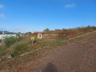 Vista externa de uma área com vegetação e solo no exterior.