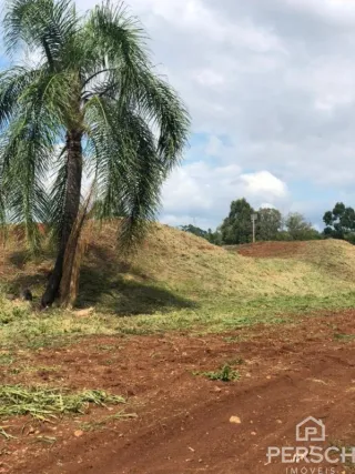 Paisagem de terra seca com vegetação rasteira em uma área externa.
