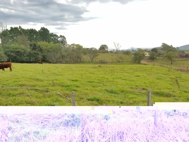 Área rural