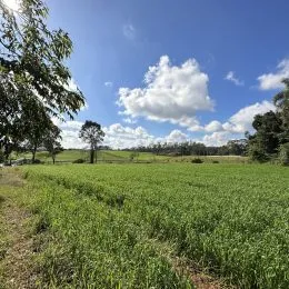 Área rural, foto 13