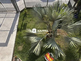 Casa com 4 dormitórios, foto 14